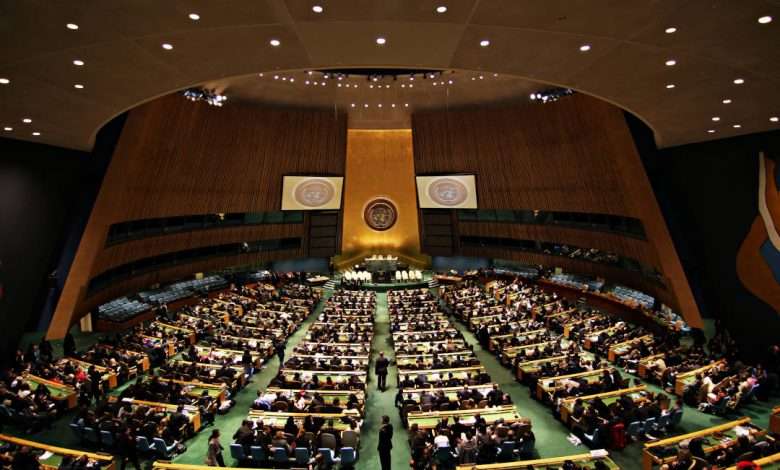 INSAPROMA es admitida como observadora ante la ONU y miembro de la Federación Internacional de Derechos Humanos (FIDH)