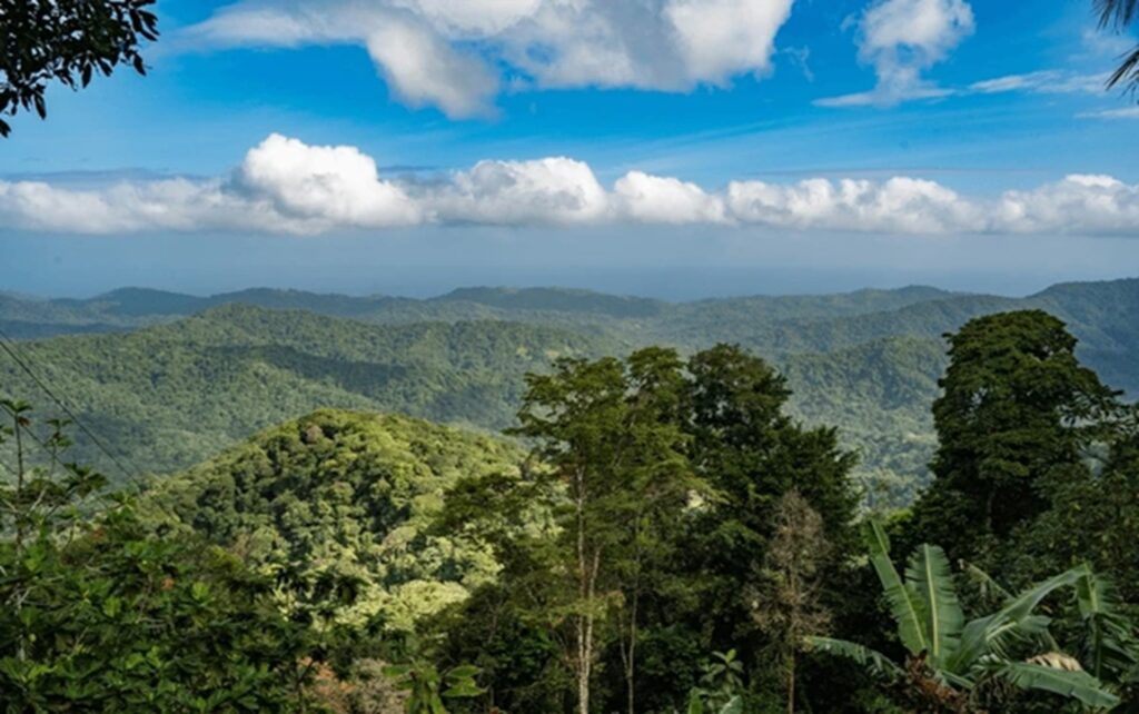 FUNDETROP se opone a la construcción de una nueva carretera en la Cordillera Septentrional y propone alternativas de movilidad masiva y sostenible.